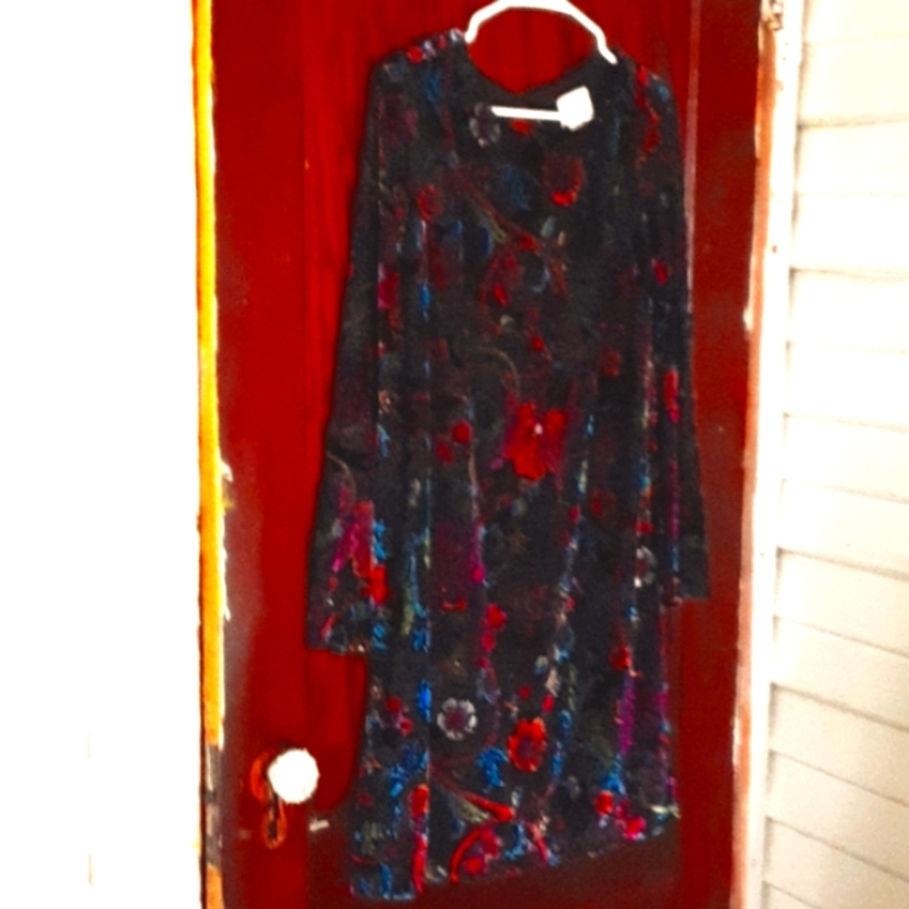 ECI sz medium velvetine floral dress